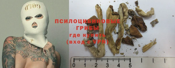 ГАЛЛЮЦИНОГЕННЫЕ ГРИБЫ Верхний Тагил
