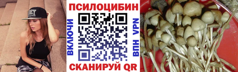 Галлюциногенные грибы мухоморы  Купить где  Николаевск-на-Амуре 